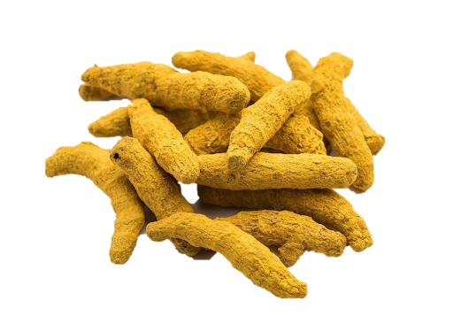 Dried Turmeric Finger